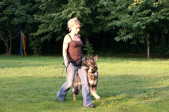 Sporthundgruppe Zossen - Kati und Eica