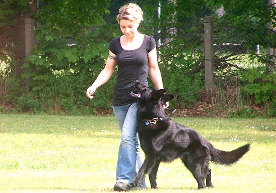 Sporthundgruppe Zossen - Kati und Frodo