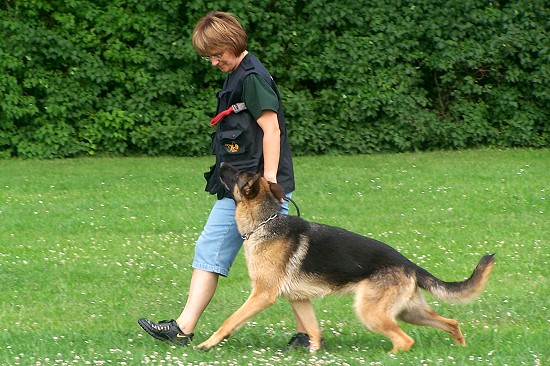 Sporthundgruppe Zossen - Katrin und Finnja